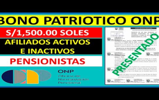 Bono Patriótico: Requisitos y objetivos del subsidio