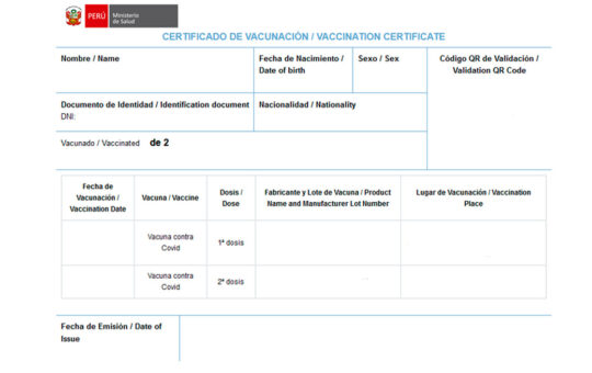 Cómo acceder a mi carnet de vacunación virtual