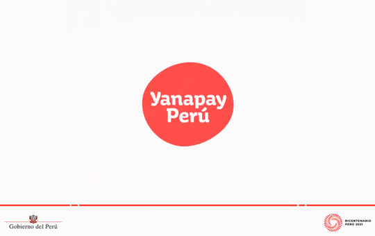 Yanapay: Estas son las personas que reciben el subsidio en sus hogares
