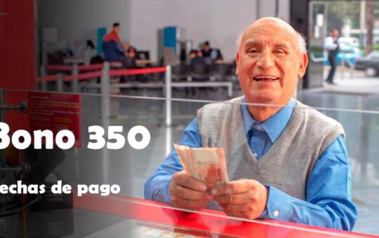 Bono 350: Estas son las fechas de pago del subsidio ONP