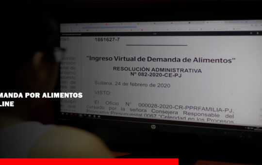 Demanda por alimentos: Ahora puedes hacer el trámite on line y sin abogados