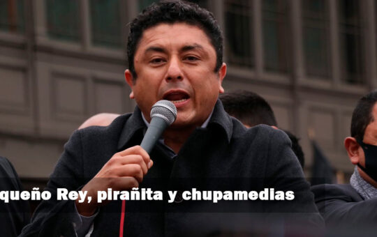 Guillermo Bermejo: Se los dice en su cara; Pequeño Rey, pirañita y chupamedias