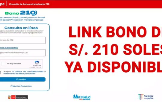 Bono 210 beneficiarios febrero