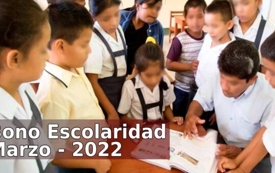 Bono Escolaridad