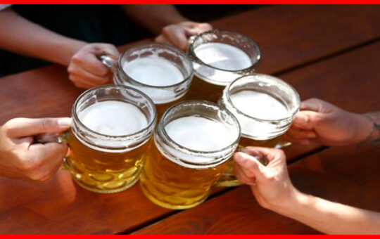 Beber cerveza puede prevenir el Alzheimer, según un estudio