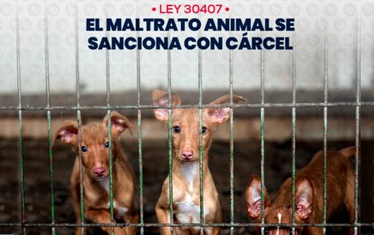 Poder Judicial: Maltrato animal