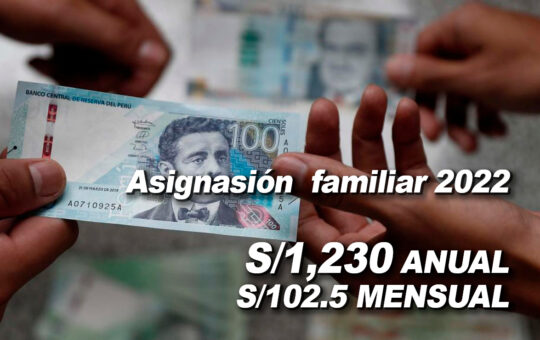 Asignación Familia 2022