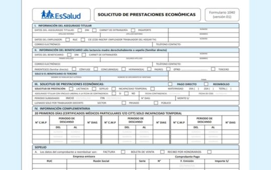 Bono Maternidad 2022