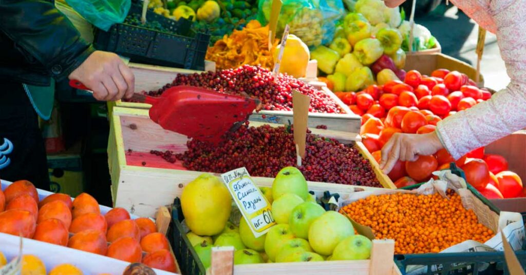Bono Alimentario: Plataforma y Padrón de beneficiarios del subsidio