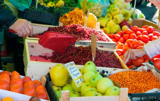 Bono Alimentario: Plataforma y Padrón de beneficiarios del subsidio