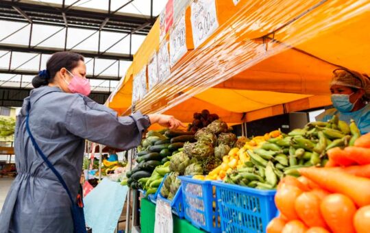 Requisitos bono alimentario 2022 – Link de consulta