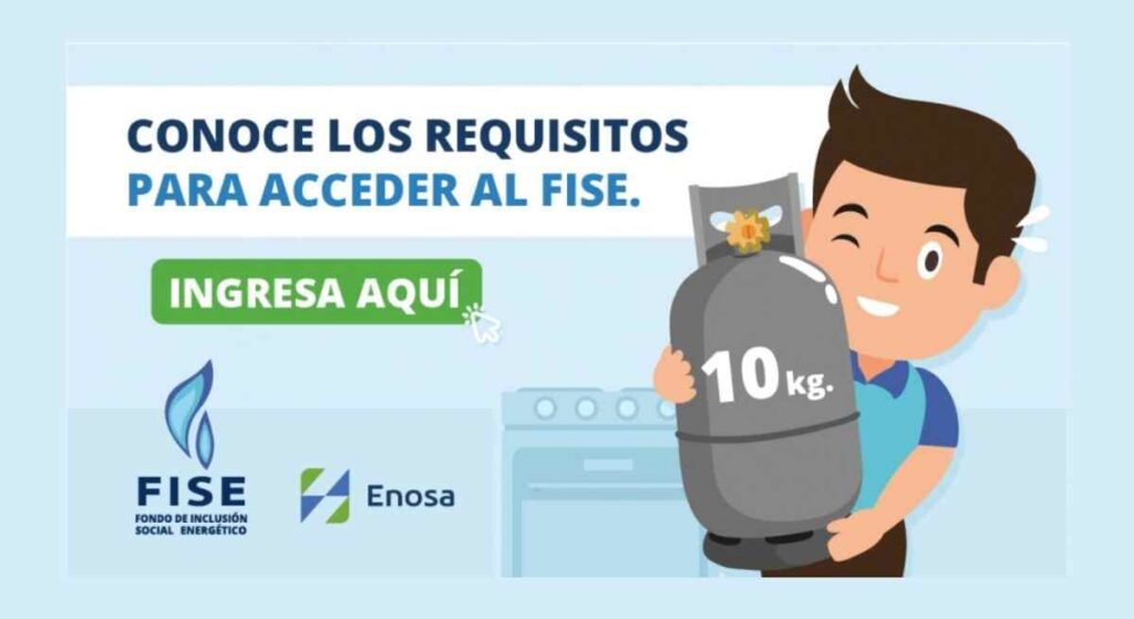 Vale FISE
