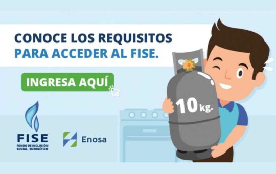 Vale FISE