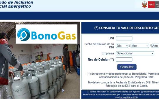 Bono Gas
