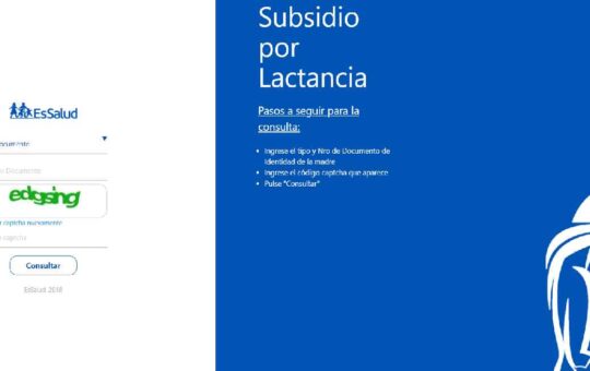Bono Lactancia