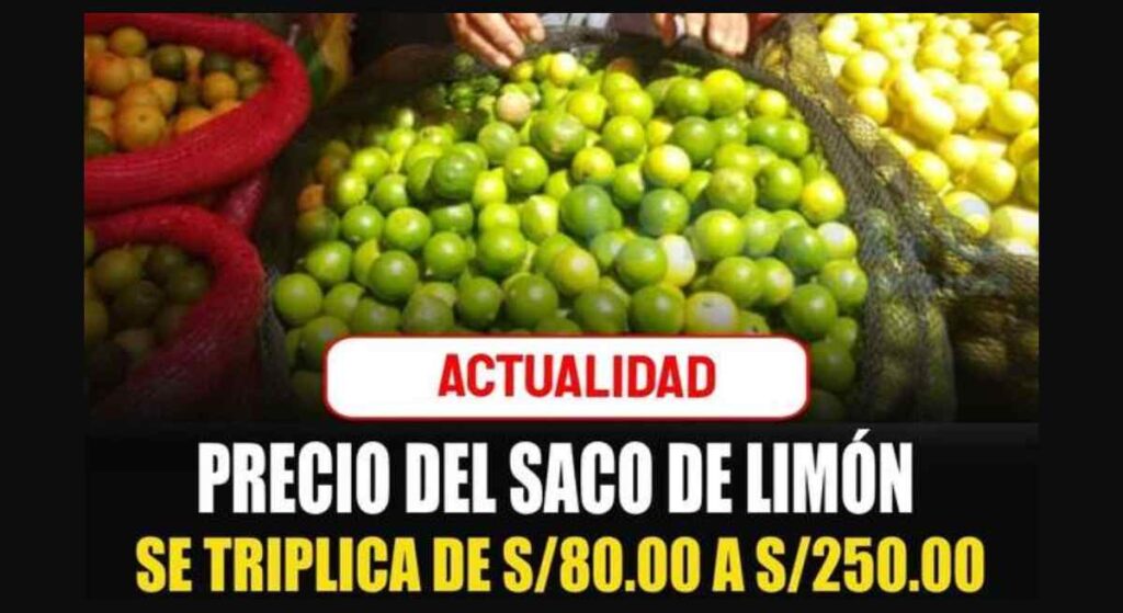 Limón piurano