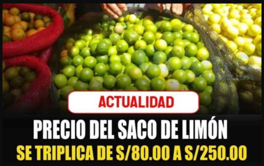 Limón piurano