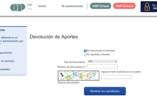 ONP: Link oficial para conocer si accedes a la devolución de aportes facultativos