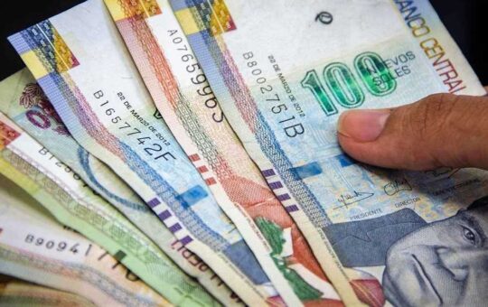 Bono Alimentario: Fechas para entrega del subsidio a nuevos beneficiarios