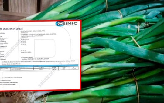 Esta es la forma correcta de lavar los alimentos