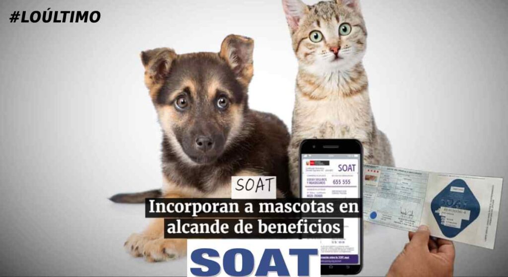 Aprobaron la ley