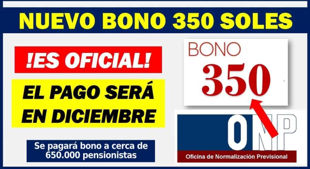 ONP - Diciembre