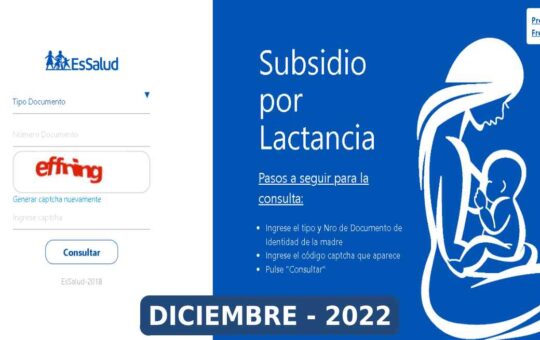 Bono Lactancia