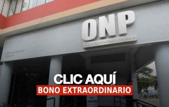 Bono ONP