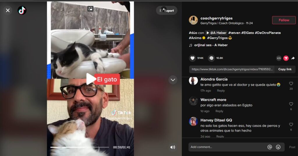 VIRAL: Gato se lastima y va a al hospital solo