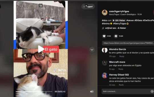 VIRAL: Gato se lastima y va a al hospital solo