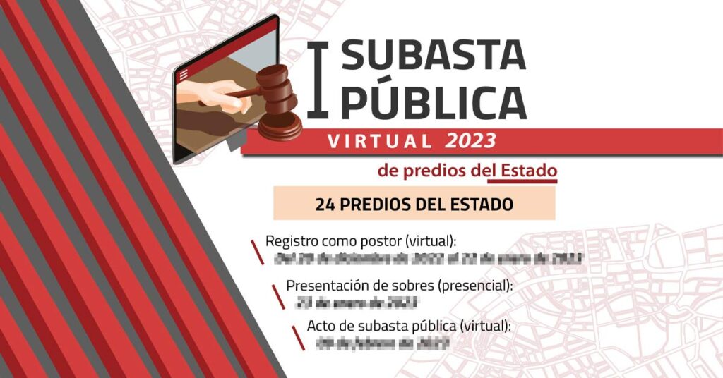 SBN Primera subasta pública virtual 2023