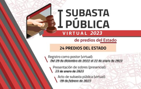 SBN: Primera subasta pública virtual 2023