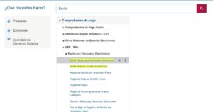 EMITIR RECIBO POR HONORARIOS