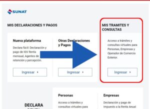 MIS TRÁMITES Y CONSULTAS