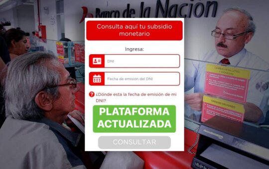 Consulta Bono 800 2023