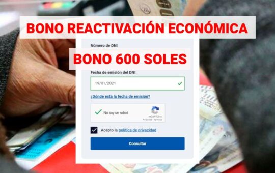 Nuevo Bono 600 Soles