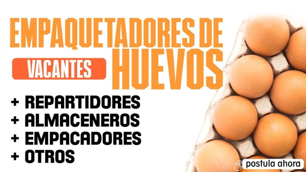 Empacado de Huevos