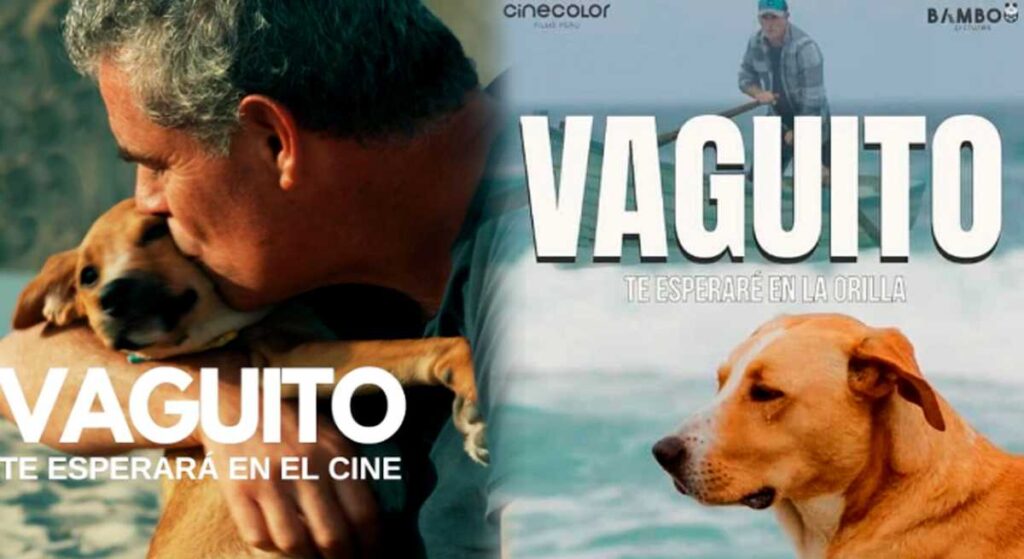 ‘Vaguito: Te esperaré en la orilla'