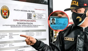 Consultar denuncias con DNI