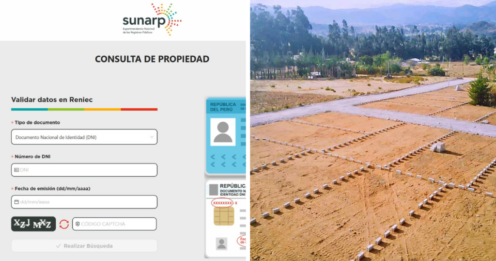 como consultar registro en sunarp