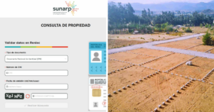como consultar registro en sunarp