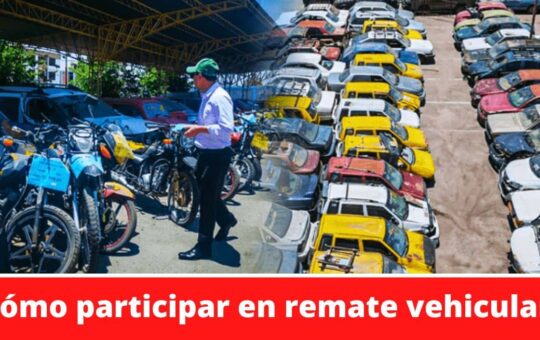 Dónde ver remates de vehículos del Estado