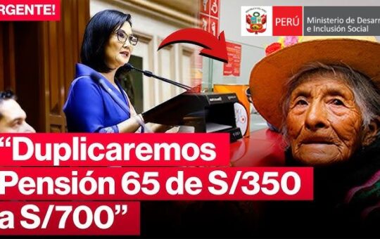 Pensión 65