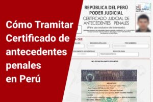 Antecedentes gratis por internet 2026