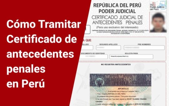 Antecedentes gratis por internet 2026